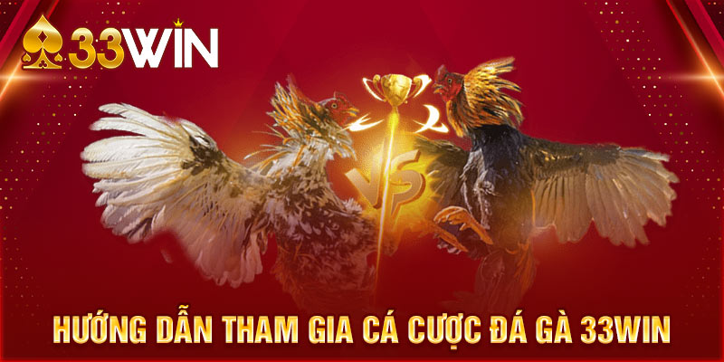 Hướng dẫn tham gia cá cược đá gà 33WIN