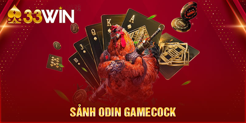 Sảnh Odin gamecock