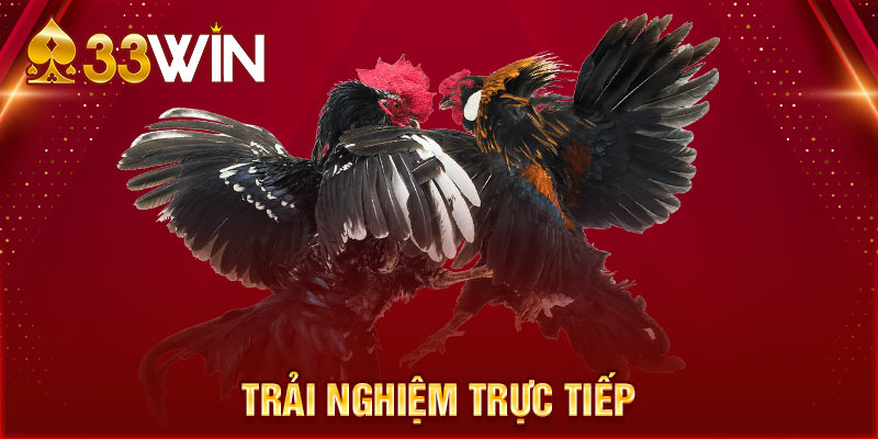 Trải nghiệm trực tiếp mang đến sự hấp dẫn và kịch tính